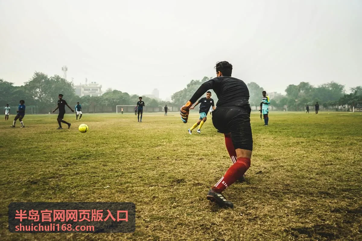 半岛官网网页版入口 - 服务入口指南