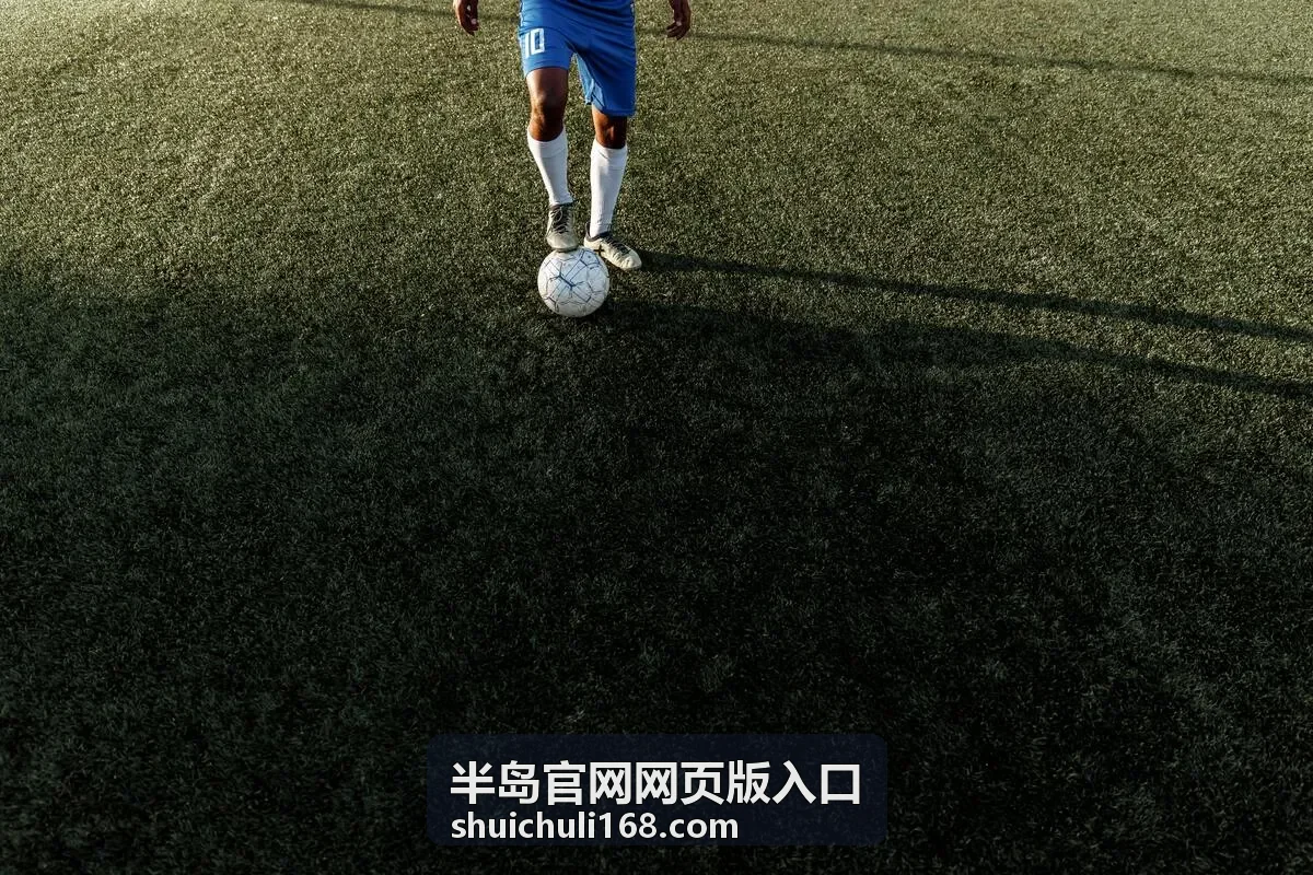 半岛官网网页版入口APP客户端登录